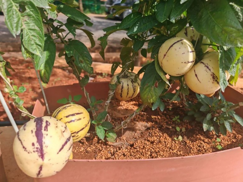 ΢��ͼƬ_2026-08-03_134157_876.jpg