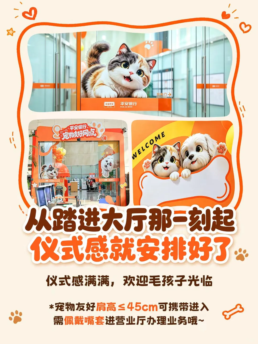 ��ͼƬ�޷���ʾ����ˢ��ҳ��