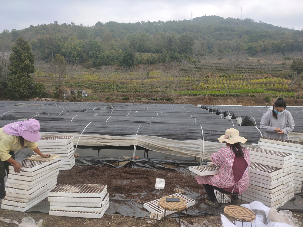 昌宁县gdp_昌宁县地图(2)