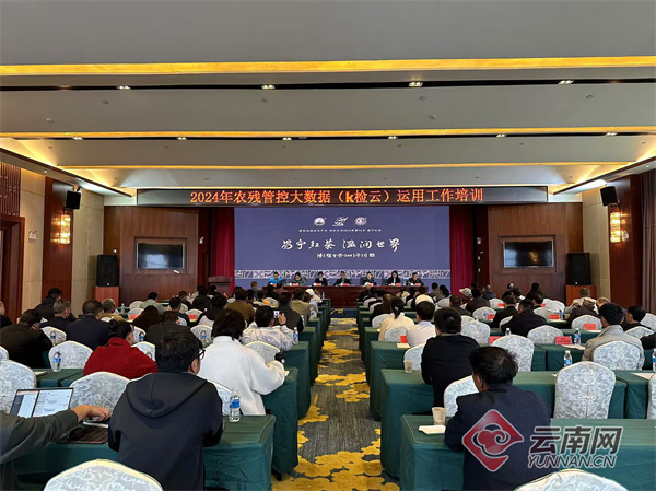 火星电竞网址西南大学牵手昌宁茶叶科技小院筑起产业新高地(图2)