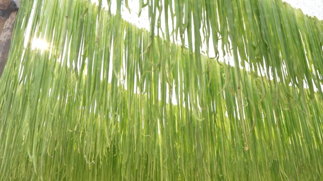 C0992.MP4_20250320_110759.610.jpg