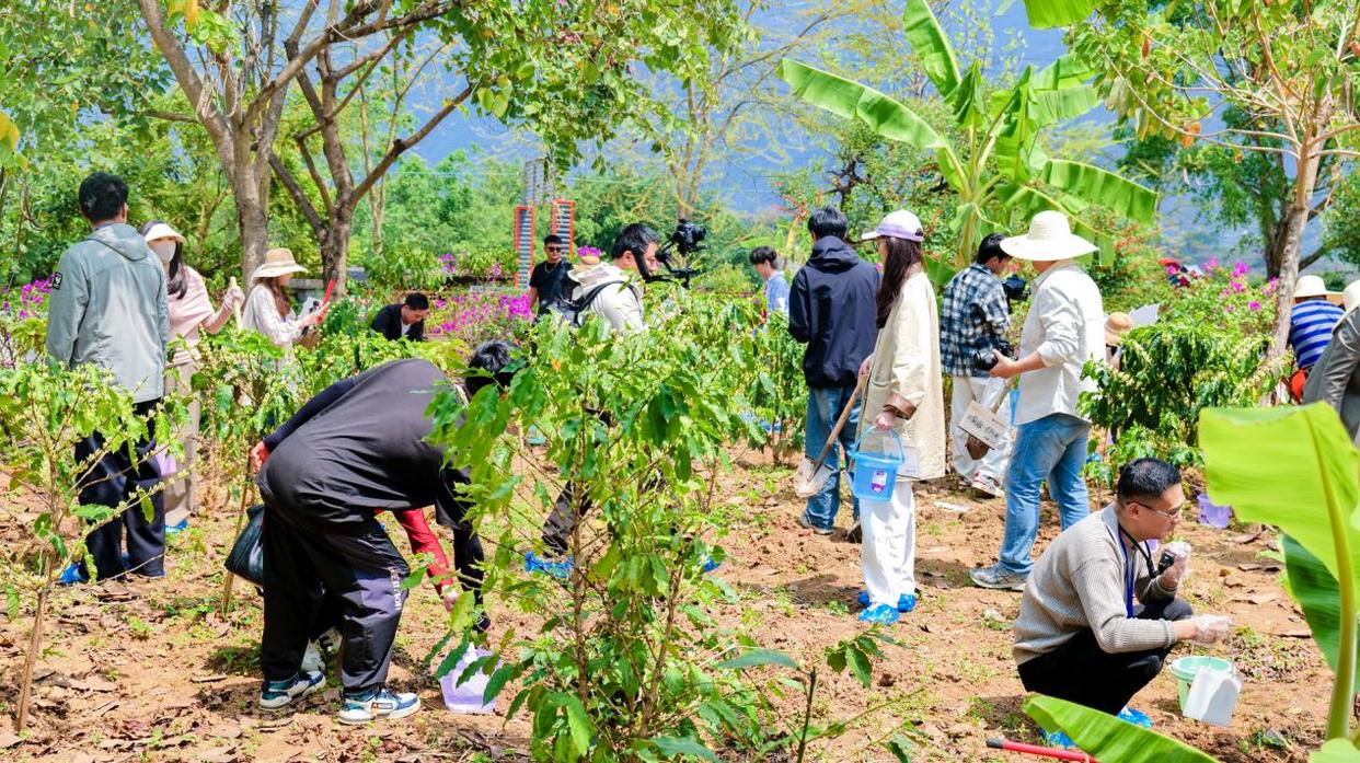 ����λ���ϡ����������鿧������ֲ����ͼ