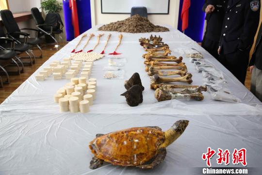 ͼΪ�ൺ���ز�����˽��Σ���ּ�����Ʒ���ൺ���ع�ͼ��