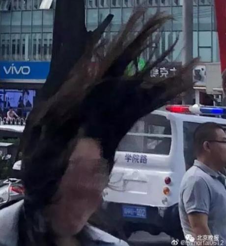 һҳ