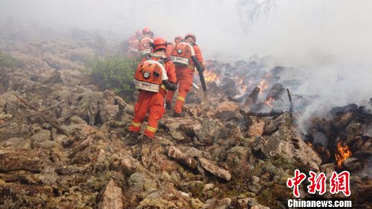 ���ɹŴ��˰�������һ�շ�������ɭ�ֻ���