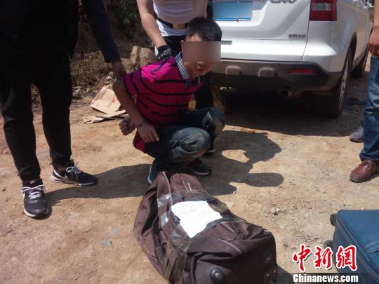 �Ĵ���������ͨ������ܶ����ɻ�Ʒ7296��