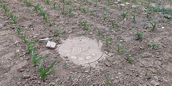 ���������һҳ