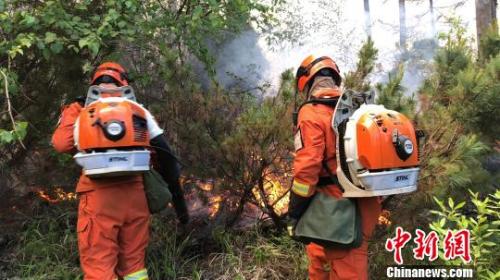 ���������һҳ