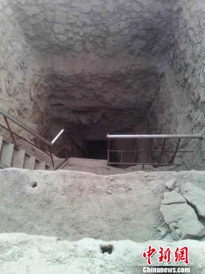 �������ڵ���ˮ��Ѫμ�ݳ����з���Ĺ300���������У���ˮѪμһ�Ŵ�Ĺ�ṹ���أ�������Ϊ&ldquo;�Ų�����&rdquo;��(����ͼ) ��� ��