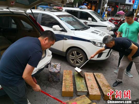 �������Բ��չ�85ֻ��ü�����¾���