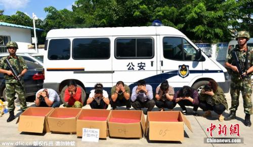 ����ͼ������ʡ��˫�����ݹ����߷�֧��2015��11��3�ն��ⷢ����Ϣ�ƣ���֧���ڿ�չ&ldquo;�߾�����&rdquo;����ר���ж��У��ɹ��ƻ�һ���ش����ʽ�������� ͼƬ��Դ������IC