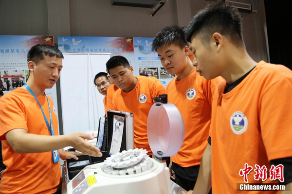 ���������һҳ