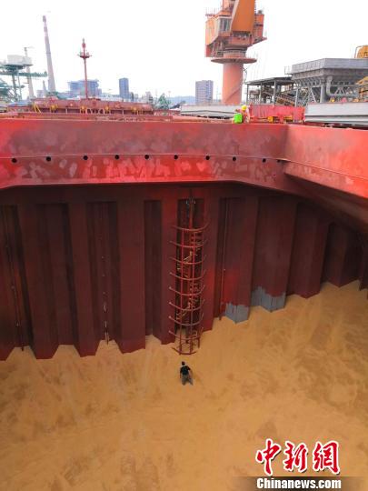 黄埔新港海关在全国首次截获有害杂草“东方大蒜芥(Sisymbrium orientale L)” 埔关 摄