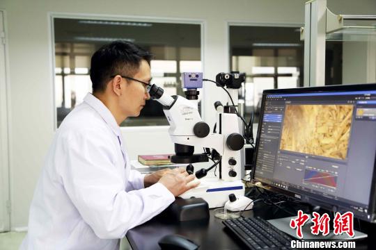 全国首次黄埔海关截获有害杂草种子“东方大蒜芥”