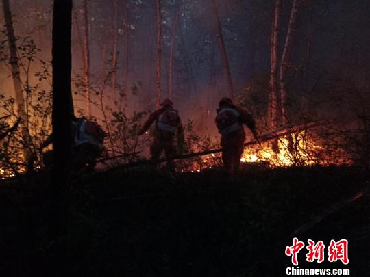 ͼΪɭ������ָսԱ��ҹ�˾ȡ��������� ��