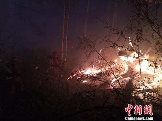 ͼΪɭ������ָսԱ��ҹ�˾ȡ��������� ��