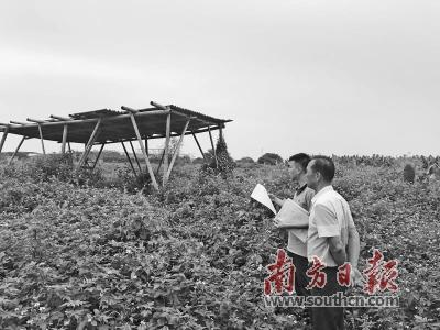 ���������һҳ