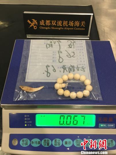 ���������һҳ