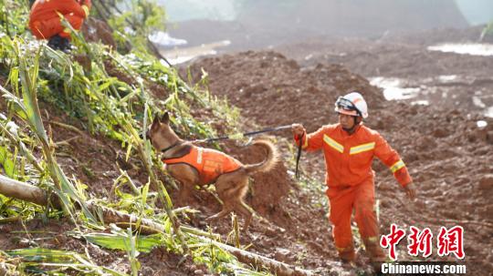 24日,贵州省消防救援队伍在六盘水市水城县事故现场展开救援。 贵州消防供图