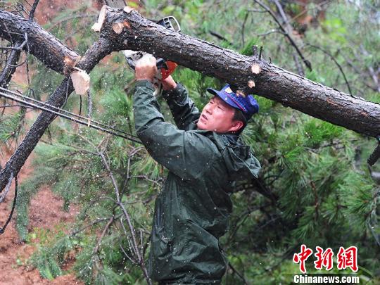 ����ʡɭ������Ա���ڽ���������ҵ ���� ��