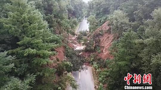 �����·��ֳ� ���� ��