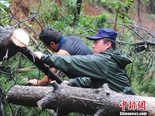 ����ʡɭ������Ա���ڽ���������ҵ ���� ��