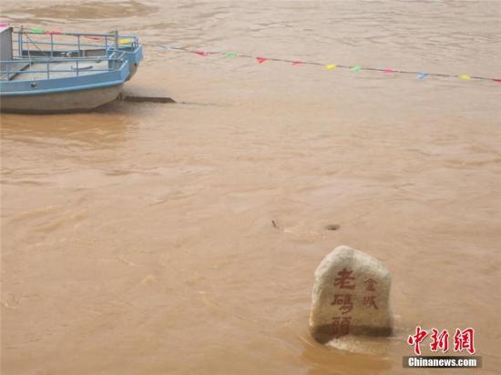 图为正值汛期的黄河。史静静 摄