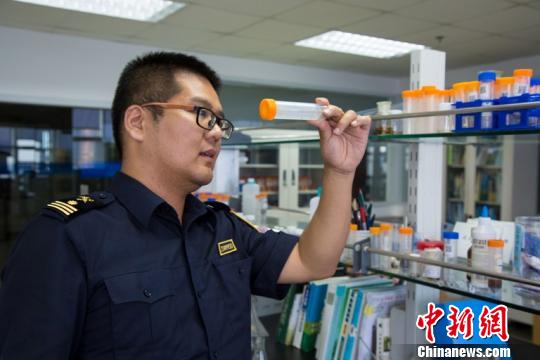 南通海关有害生物检疫实验室工作人员对截获的蜘蛛进行种属鉴定。 杨阳 摄