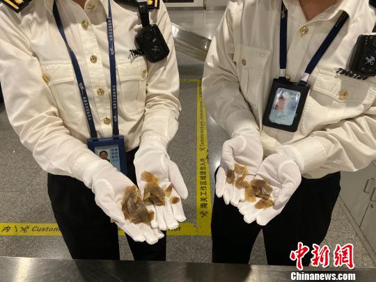 �ɶ����ؽػ�Ĵ�ɽ����Ƭ���ɶ����ع�ͼ