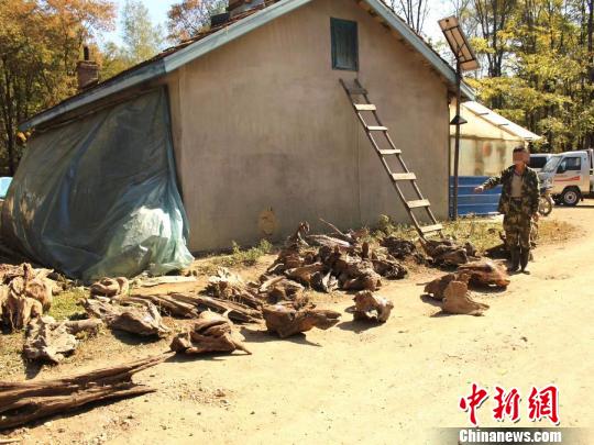 ����������ָ���ֳ���������ͼ