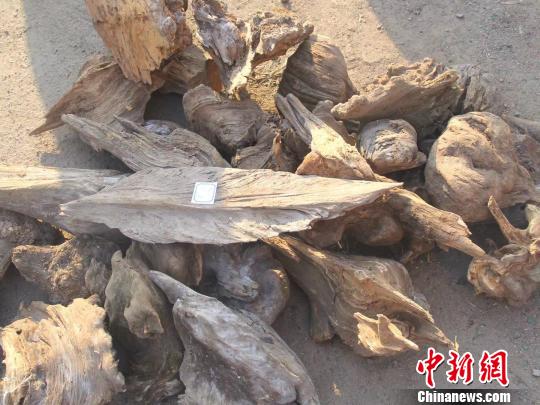 ������ɽ��&ldquo;����&rdquo;������������Ʒ�������������