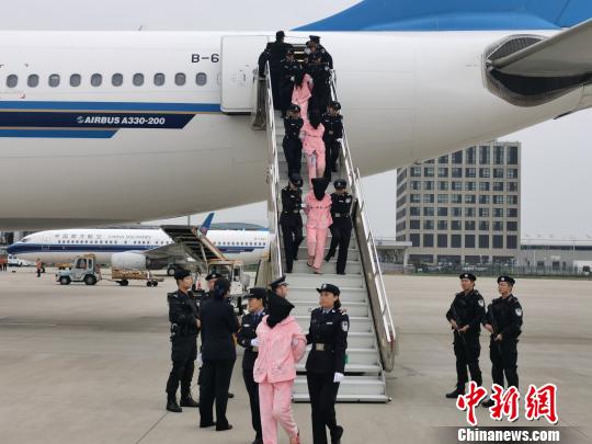 10��15�գ����Ϲ������ؽ�136����������թƭ���������˴�����Ѻ��ع����漰���ڶ�ʡ������1200�����������թƭ�����ɹ����ơ������� ��