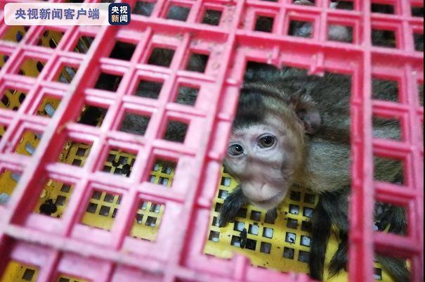 ���������һҳ