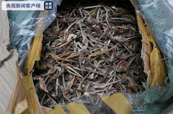 ���������һҳ