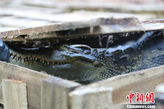 ͼΪ�������永���� ������ ��