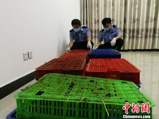 ͼΪ��������永ʳз�� ���� ��