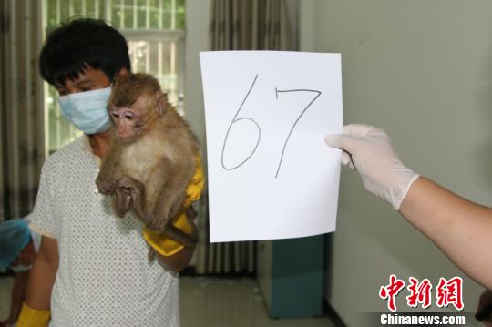 ͼΪ�������ȡ֤ ���� ��