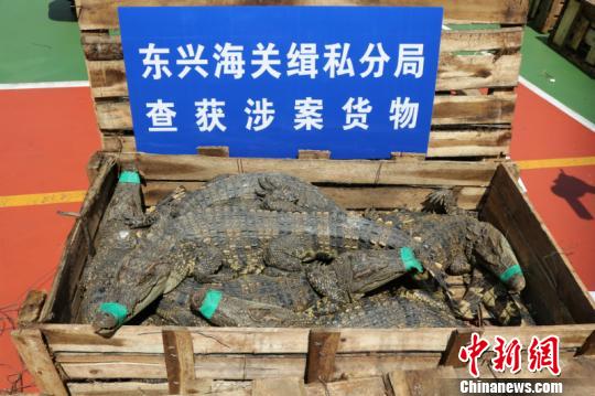 ���������ƻ��ش���˽���㰸�ɹ���Ȼ���������806��