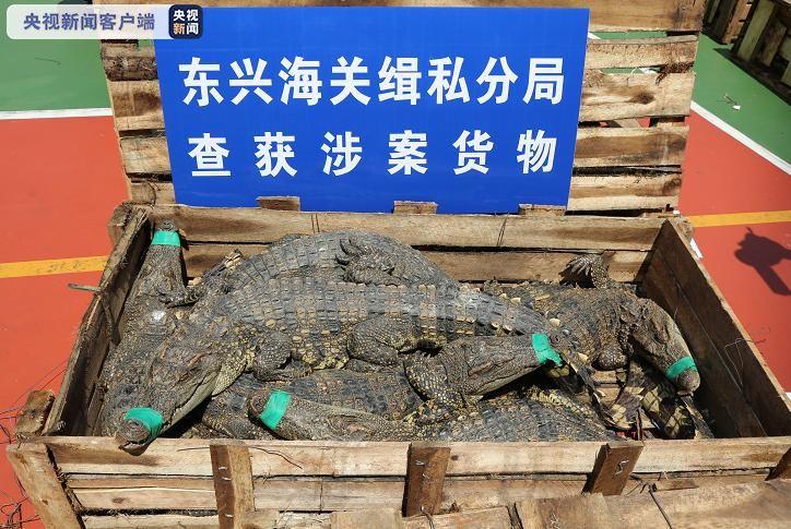 ���������һҳ