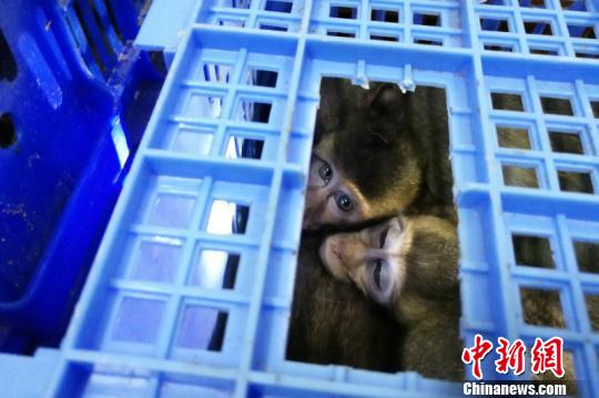 ͼΪ�永ʳз�� ���� ��