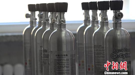 ��������Ц����ƿ ��ʢ� ��