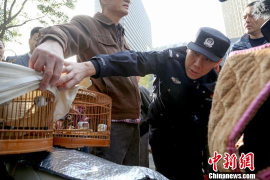北京集中打击贩卖野生鸟类的违法犯罪行为。 供图 摄
