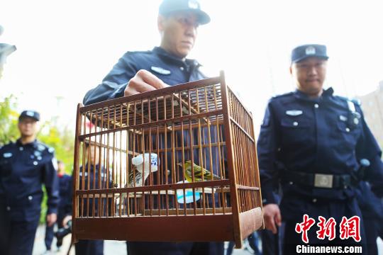 北京打击贩卖野生动物违法犯罪行为今年以来共抓获犯罪嫌疑人98人