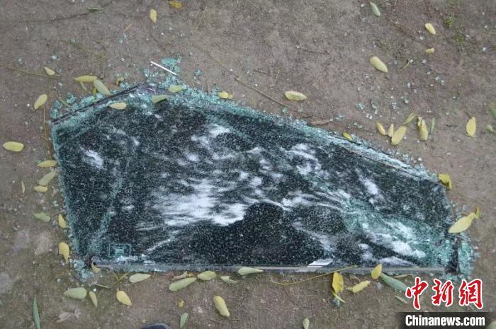 20����������Ͷ�����Ʊ�ƭ�����ҳ�����60����ץ��