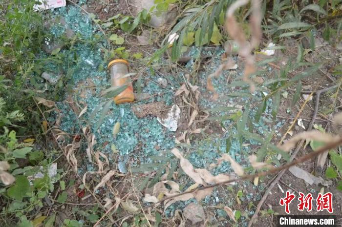 �����ֳ��������� ��