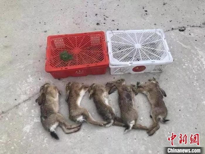 ͼΪ��ҧ�������ӡ�������ͼ