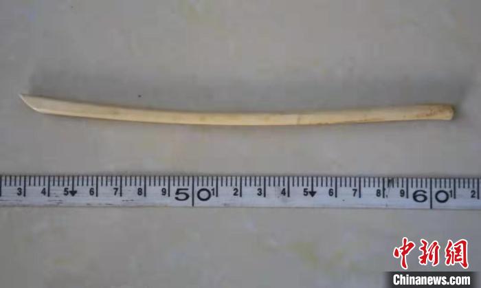 内蒙古警方破获系列盗墓案抓获“盗墓贼”18人