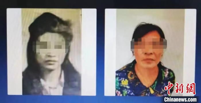 ͼΪ����ʮ������Ƭ�Ա� ���빫����ͼ