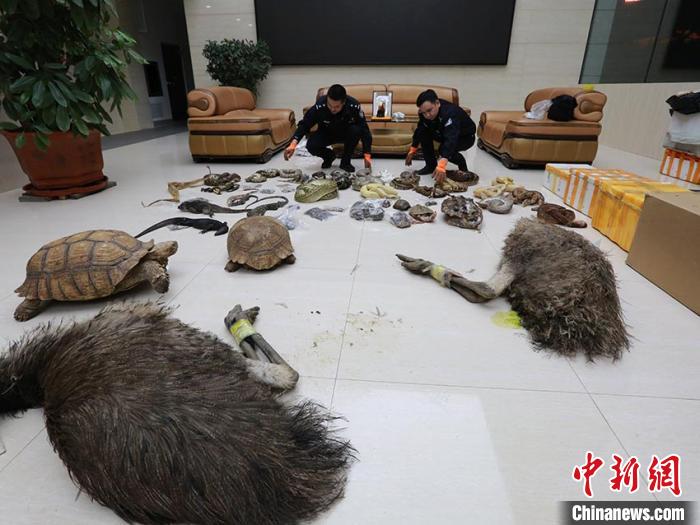 ��������Ѻ�Ĳ���Ұ�����Ｐ��Ʒ������ʡɭ�ֹ����ֹ�ͼ