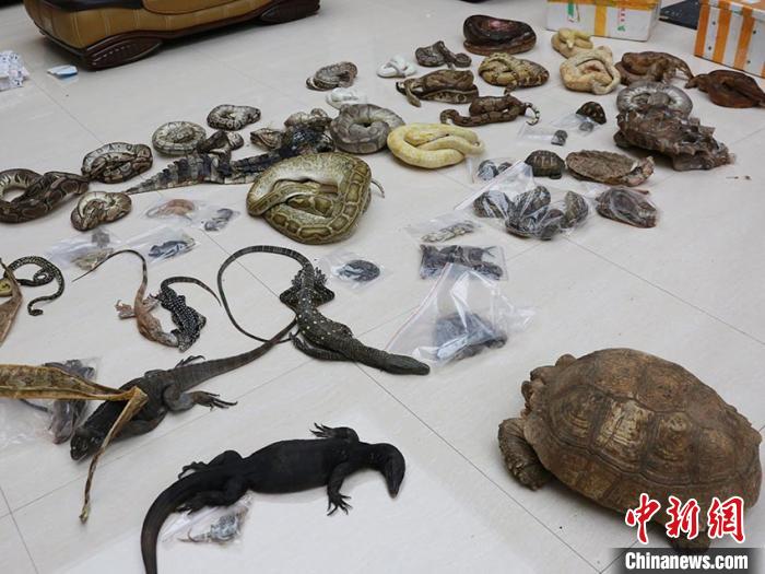 ��������Ѻ�Ĳ���Ұ�����Ｐ��Ʒ������ʡɭ�ֹ����ֹ�ͼ